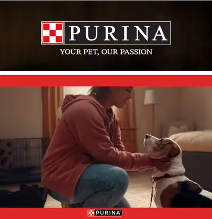 Carnation Market Purina
