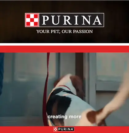 Morton Country Market Purina