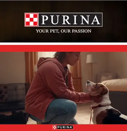 Capitol Centre Market Purina
