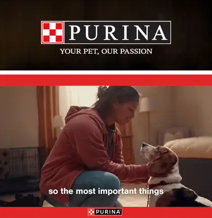 LaPerle's IGA Purina