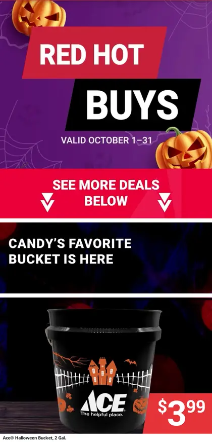 Potter's Ace Home Center Weekly Ad