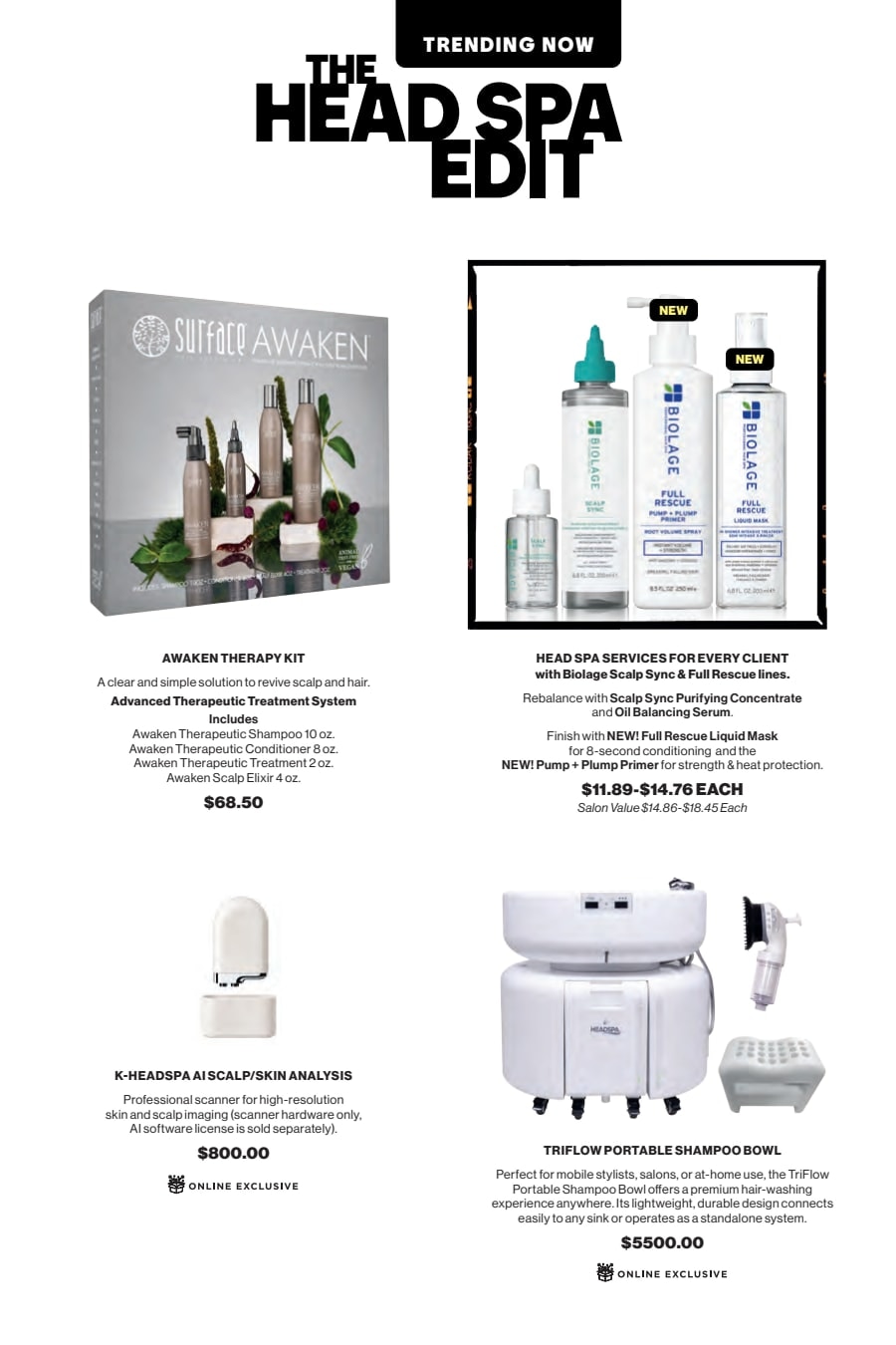 SalonCentric weekly ad page 13
