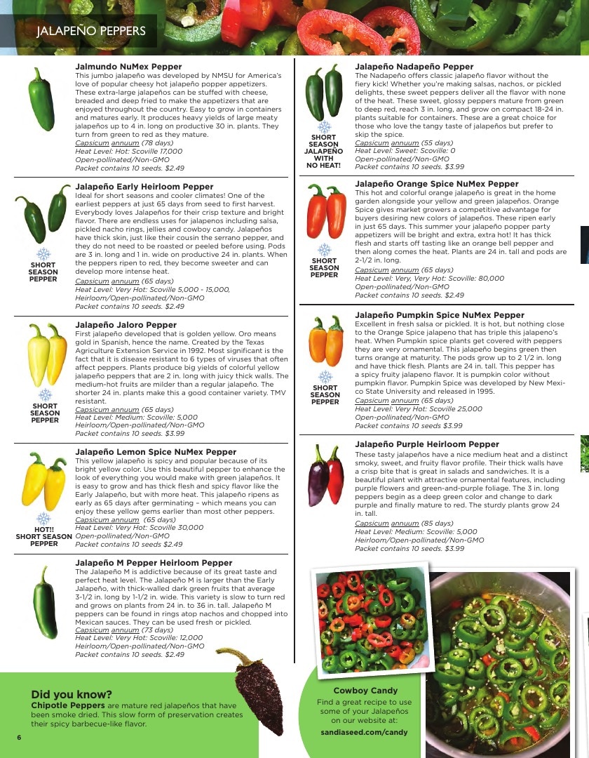 Sandia Seed Company weekly ad page 8