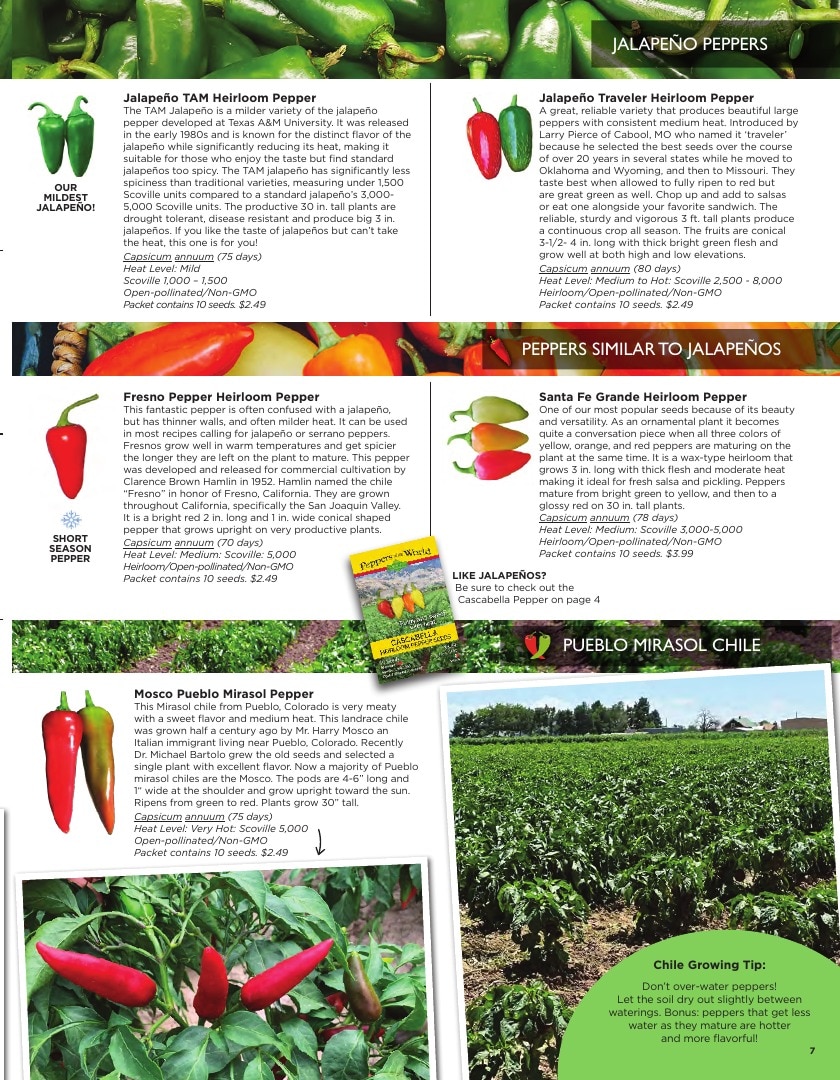 Sandia Seed Company weekly ad page 9