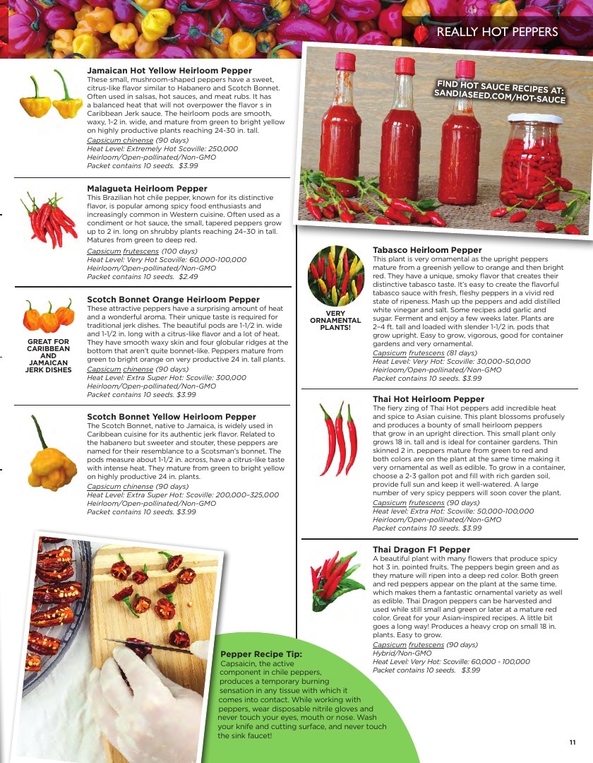 Sandia Seed Company weekly ad page 13