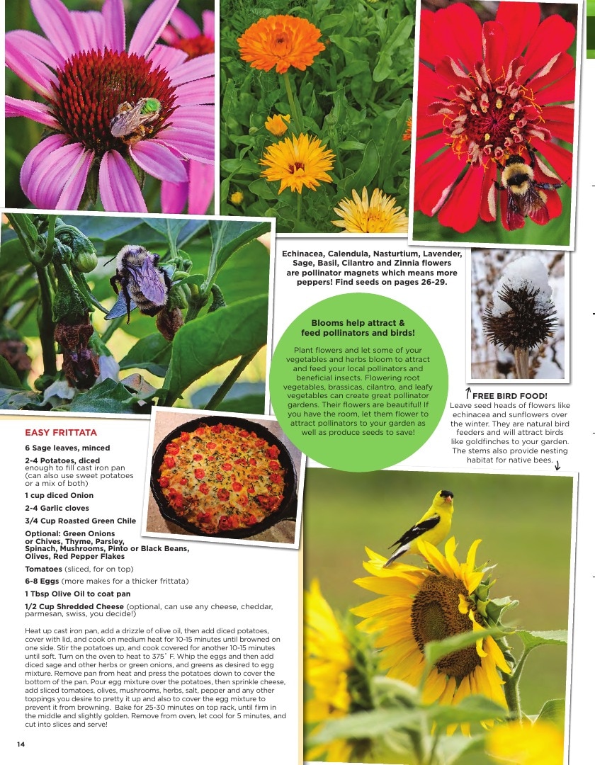 Sandia Seed Company weekly ad page 16