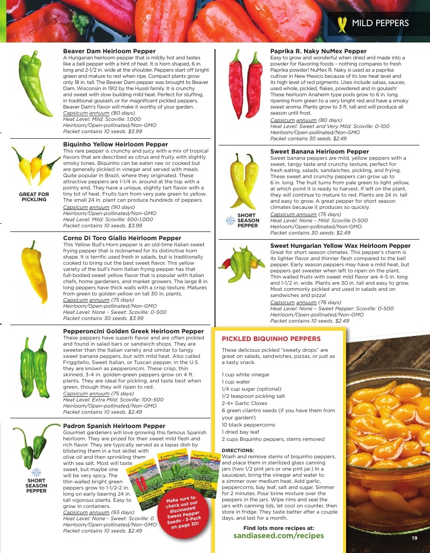 Sandia Seed Company weekly ad page 21