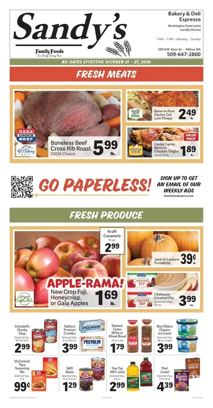 Sandy's Family Foods Weekly Ad
