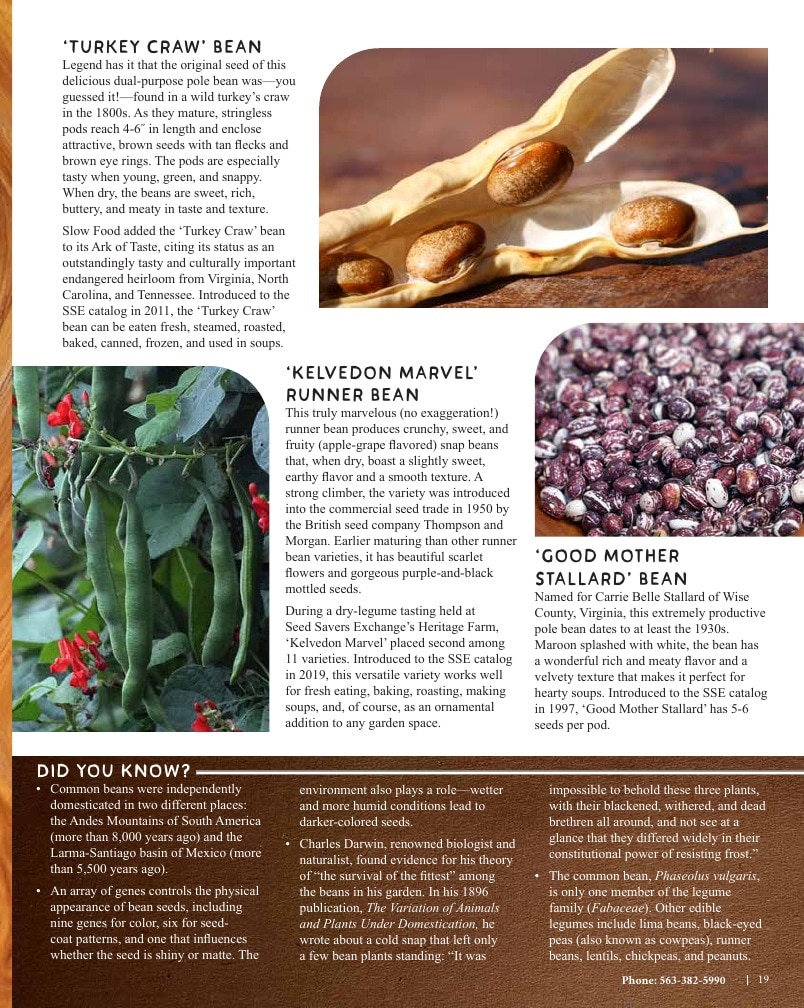 Seed Savers Exchange weekly ad page 19