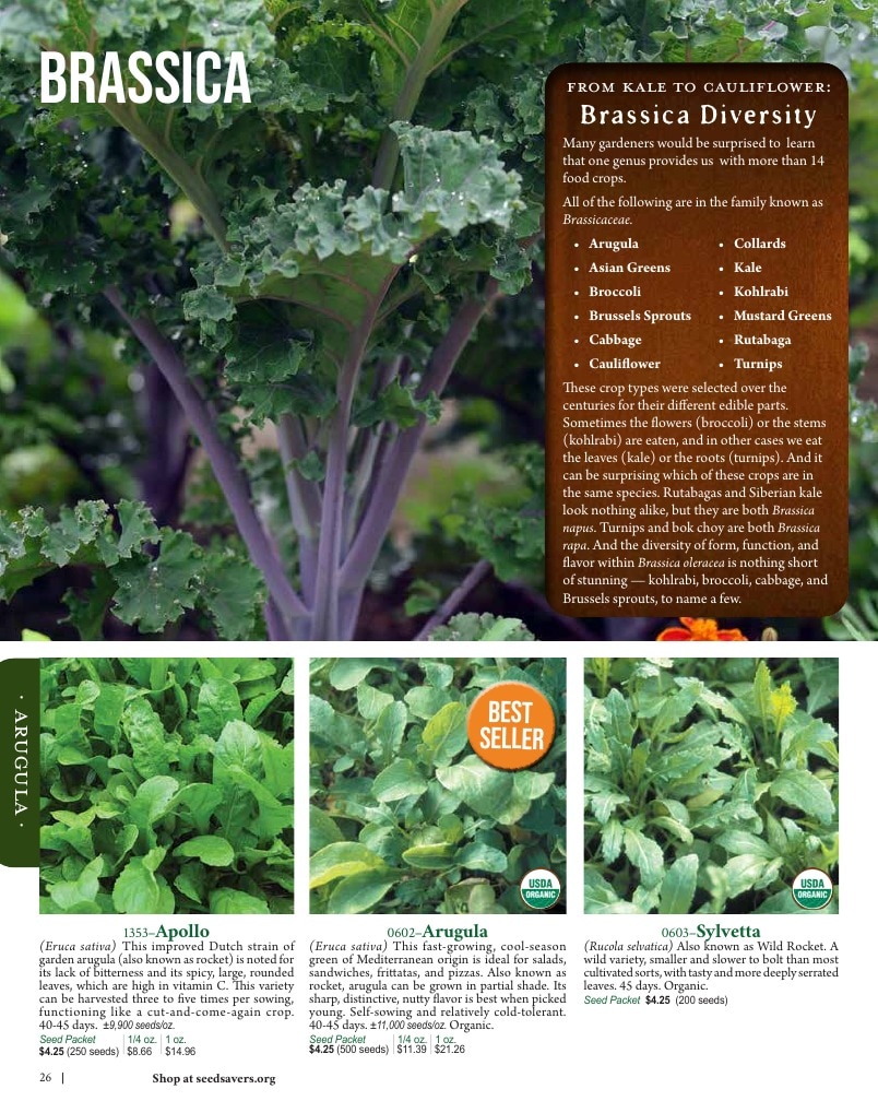 Seed Savers Exchange weekly ad page 26