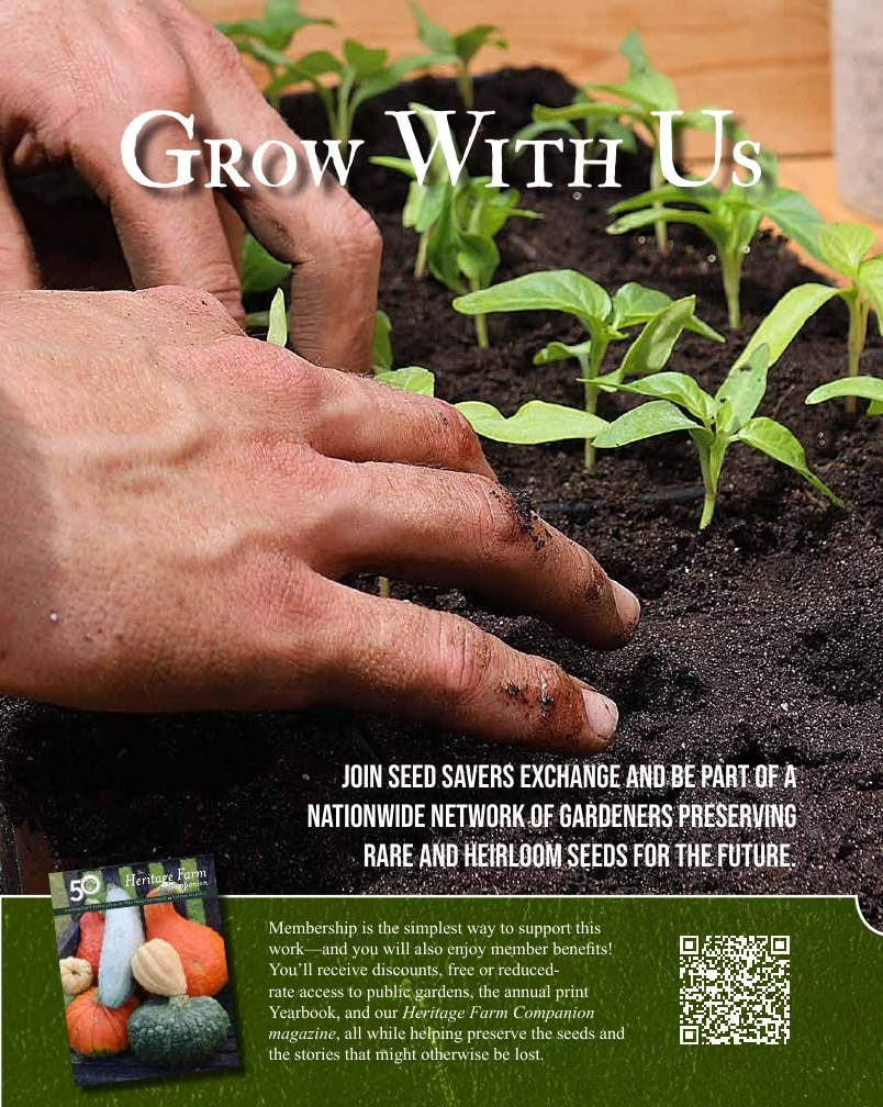 Seed Savers Exchange weekly ad page 37