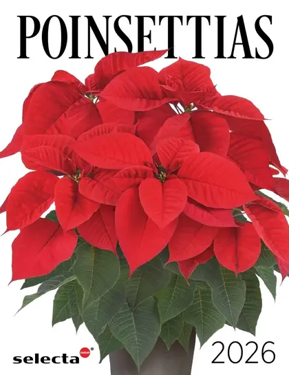 Selecta One North America Poinsettias Catalog Weekly Ad