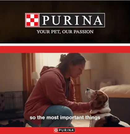 Village IGA Purina