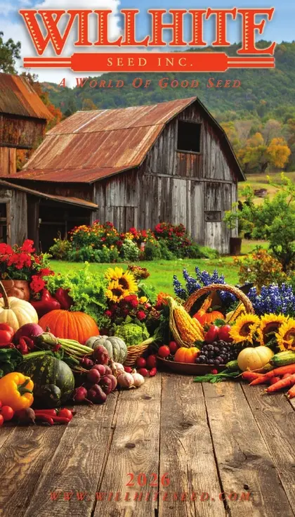 Willhite Seed Seed Catalog Weekly Ad