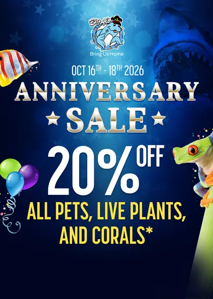 Big Al's Big Al's Weekend Deal October 16 to 18